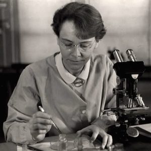 Johanna Dobereiner